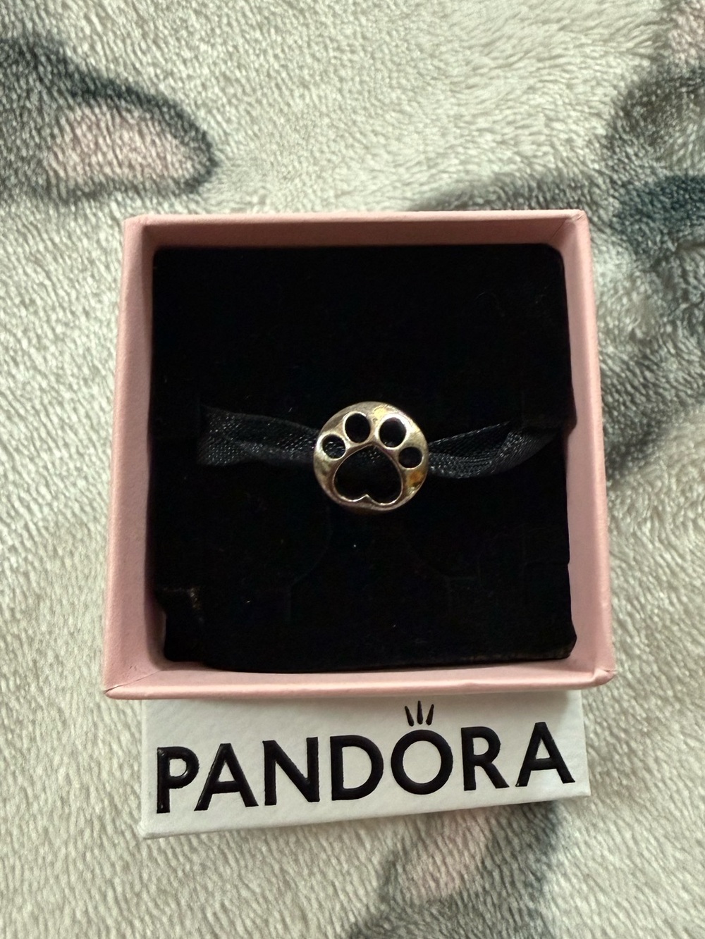 Pandora Silver Paw Charm